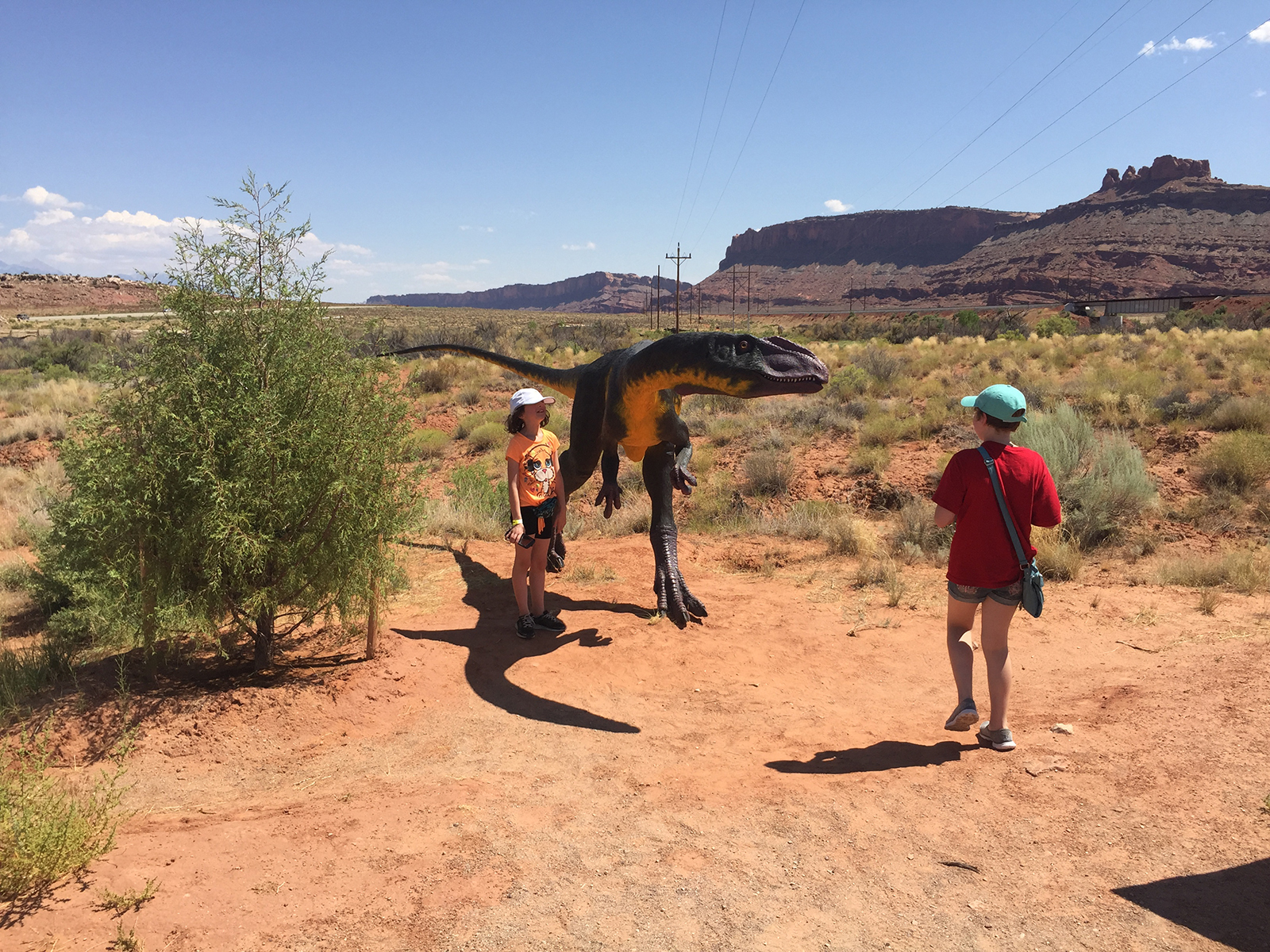 Dinosaur Park